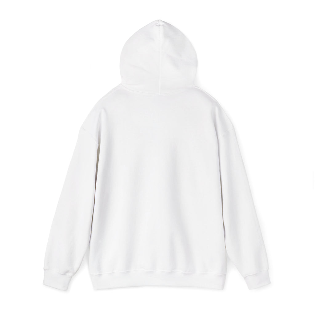American Flag Field Hoodie — Patriotic Fireworks Memorial Day 4th of July Sweatshirt
